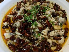 -三猫黑鱼花(南大店)