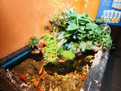 -隐炉和牛烧肉店(群力店)