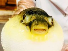 -肆月河豚·新淮扬(金融街店)