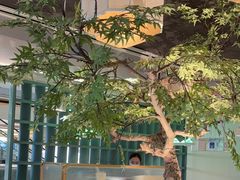 -绿茶餐厅(广州天河城店)