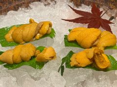-月龍吟(朝龙汇店)