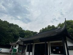 -上海佘山国家森林公园天马山园