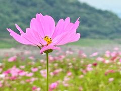 -木洞河街