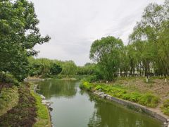 -大兴滨河森林公园