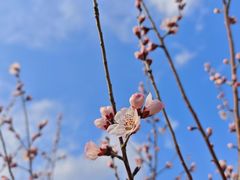 -白水寺森林公园