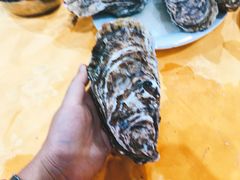 -蚝专家(北滘店)