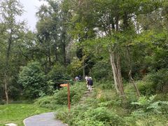 -青龙山国家森林公园