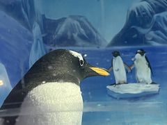 -重庆欢乐海底世界