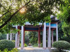 -沙市市中山公园