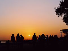 -合肥滨湖国家森林公园