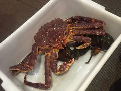 -鱼乐轩海鲜专门店