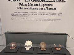 -北京周口店北京人遗址博物馆
