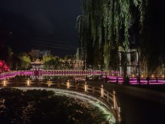 -金城公园