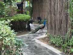 -广州都喜泰丽温泉度假酒店