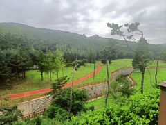 -棒棰岛宾馆景区