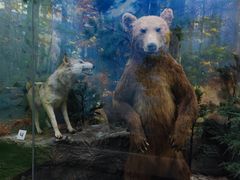 -国家自然博物馆