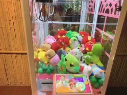 -奇幻丛林(佛罗伦萨小镇店)