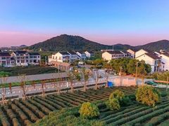 -树山生态村
