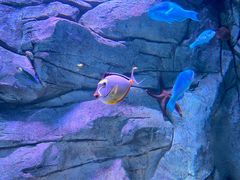 -欢乐海岸海洋奇梦馆