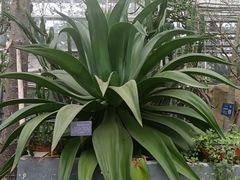 -南山植物园