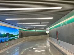 -萃華楼(王府井店)