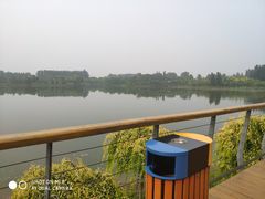 -东郊湿地公园