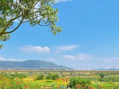 -光明小镇欢乐田园