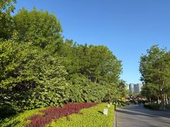 -西海子公园