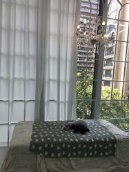 -WPlus明星肖像亲子全家福摄影