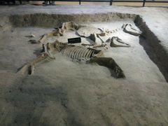 -洛阳周王城天子驾六博物馆