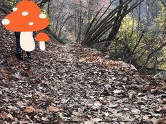 -西安祥峪森林公园