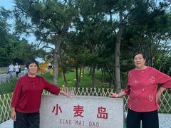 -小麦岛公园