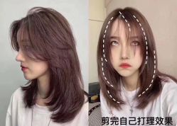 -蚂蚁造型沙龙