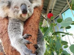 -费瑟代尔野生动物园