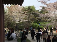 -西安青龙寺遗址景区