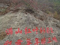 -白帝城·瞿塘峡景区