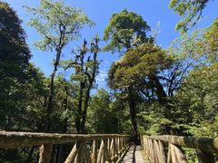 -龙苍沟森林公园