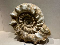 -安徽省地质博物馆