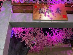 -韵秋荷(宝山龙湖天街店)