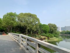 -大兴滨河森林公园