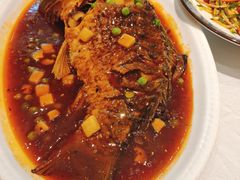 红焖黄河大鲤鱼-紫光园·烤鸭·北京菜(劲松店)