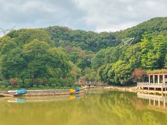 -广州市帽峰山景区