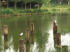 -尚贤河湿地