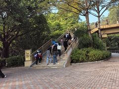-广州长隆国际大马戏