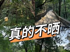-香山公园