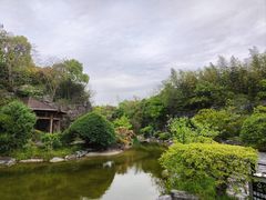 -上海吴淞炮台湾国家湿地公园