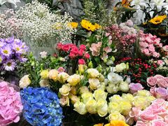 -爱尚幸福鲜花(上地实体店)