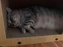 -H立方实景剧情密室(天河旗舰店)