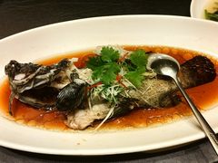 -骏莱海鲜鱼港(五角场店)