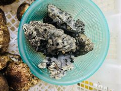 -双喜农庄·菌香园(安居家园店)